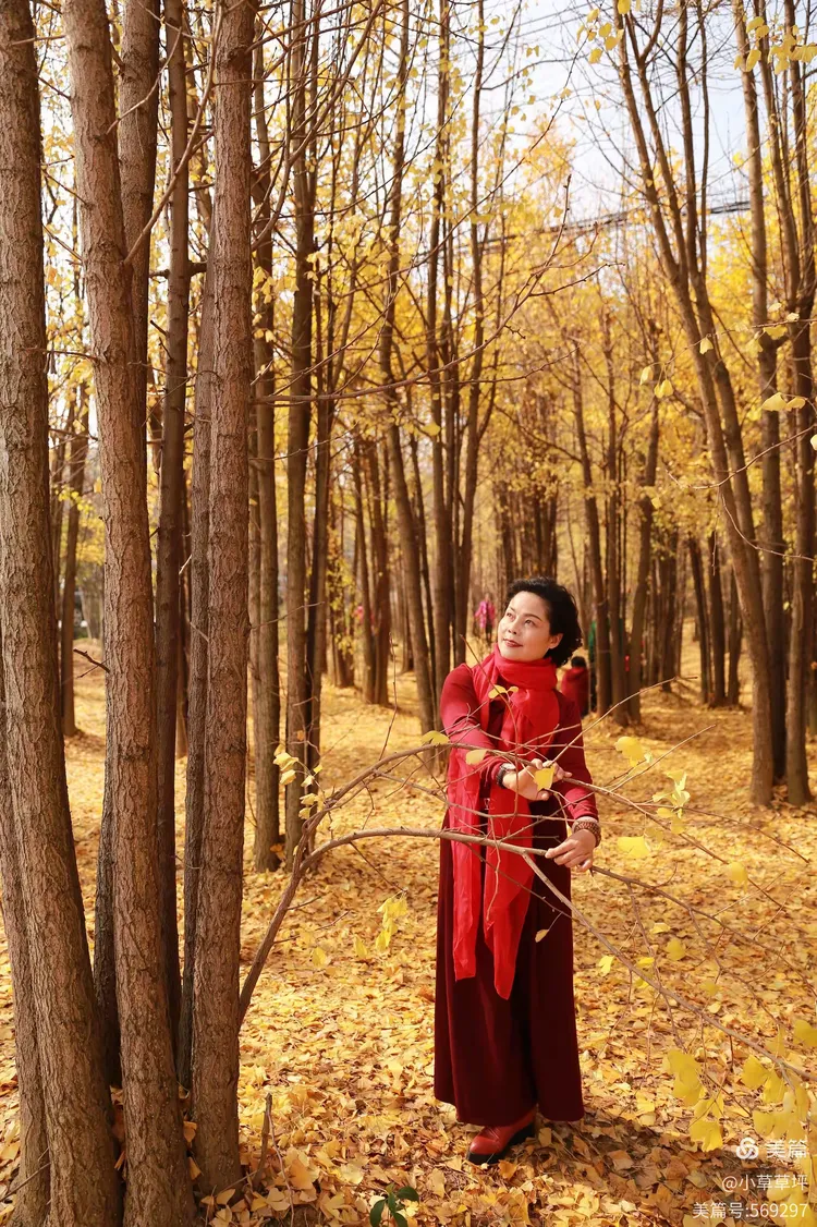 秋冬季节～你还有多少老朋友